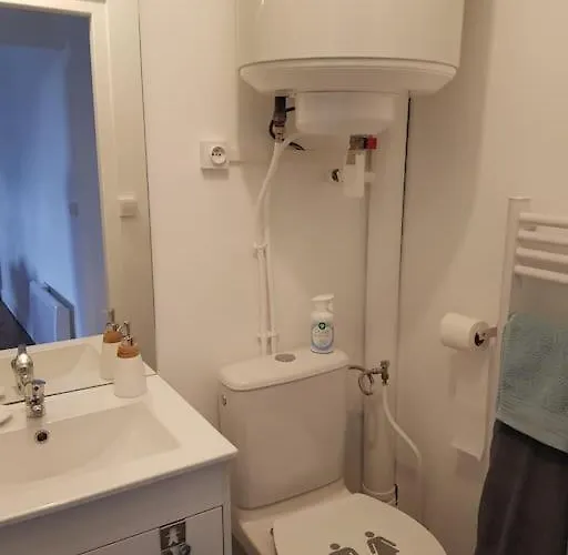 Lumineux Et Moderne Appartement Le Mans